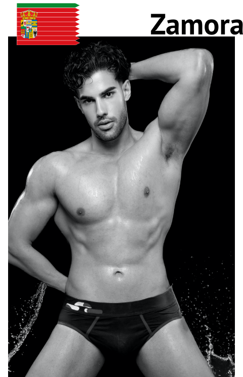 Profile Alvaro Lopez Mister RNB Zamora 2025