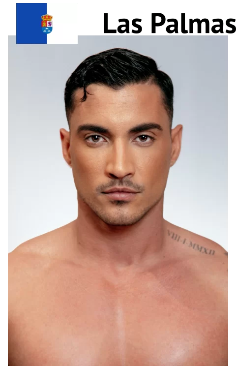 Mister RNB Las Palmas 2026 Luis Fernandez Profile