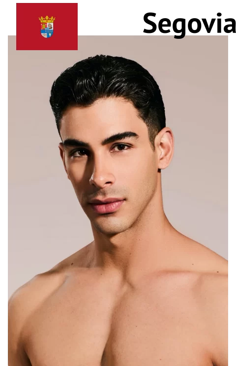 Mister RNB Segovia 2026 Fernando Meireles Profile